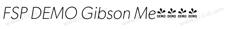 FSP DEMO Gibson Me字体转换 FSP DEMO Gibson Me字体转换